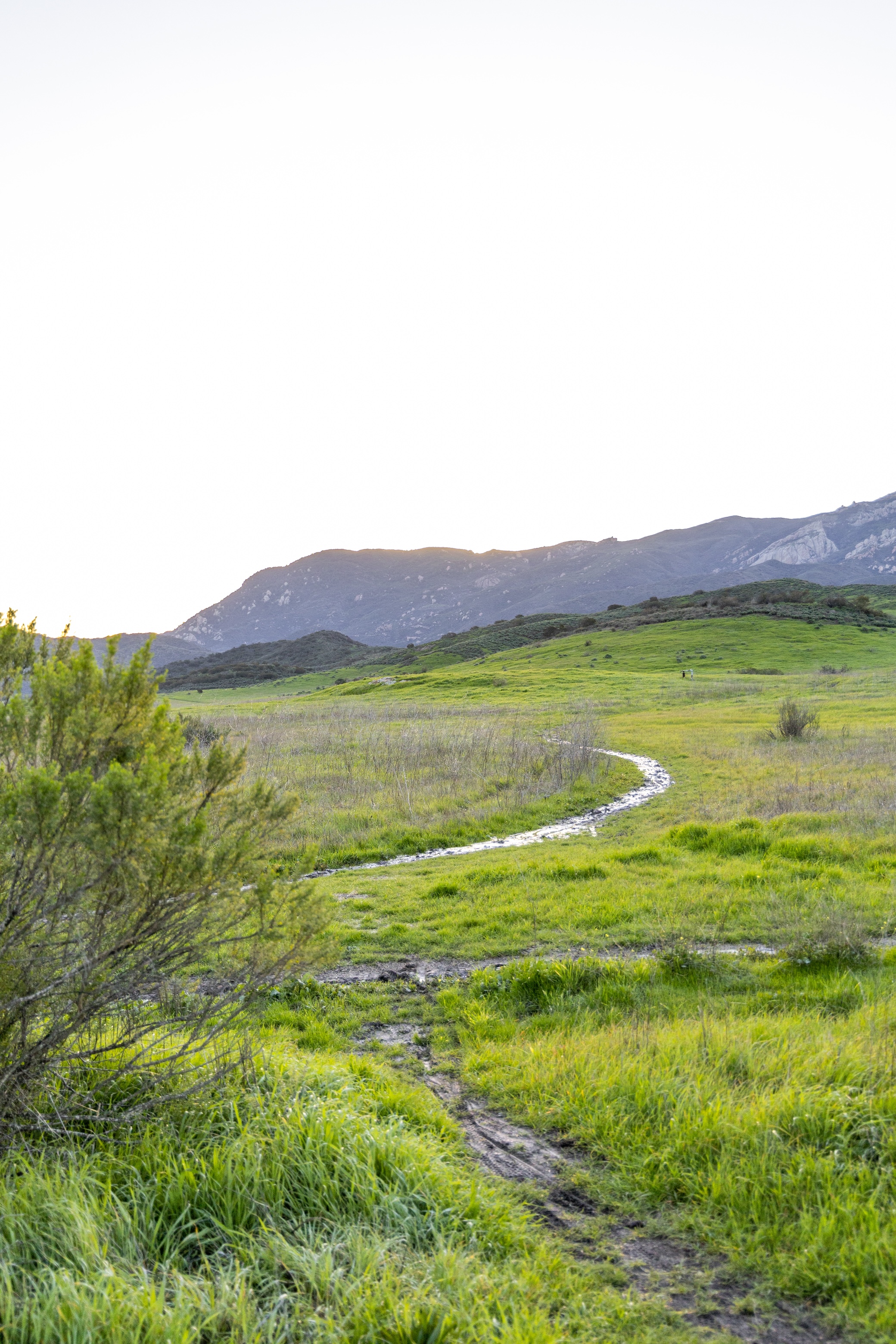 Cycling background